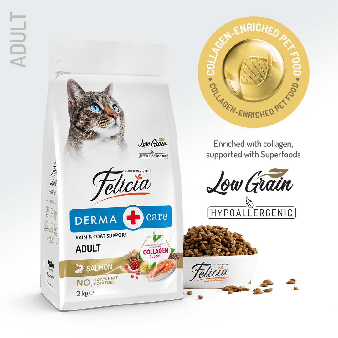 felicia-low-grain-derma-care-adult-salmon-cat-food-2kg-hypoallergenic